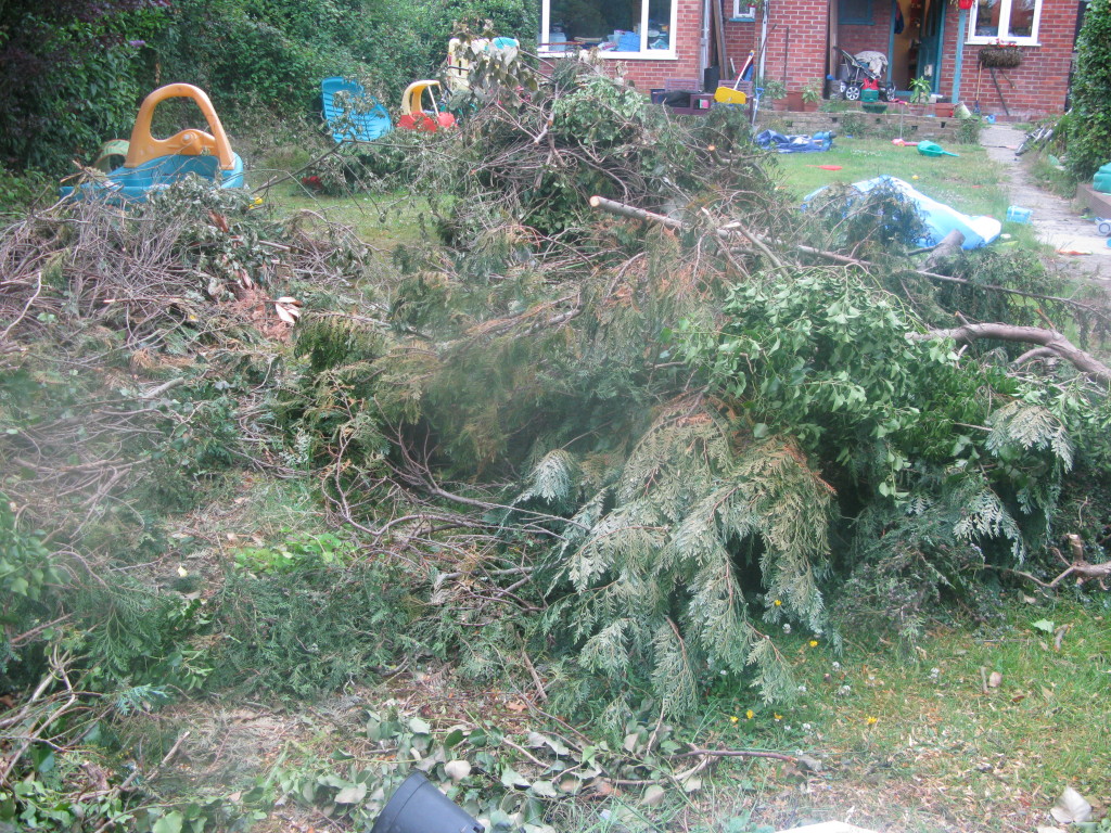 Basingstoke Garden Waste Clearance Service